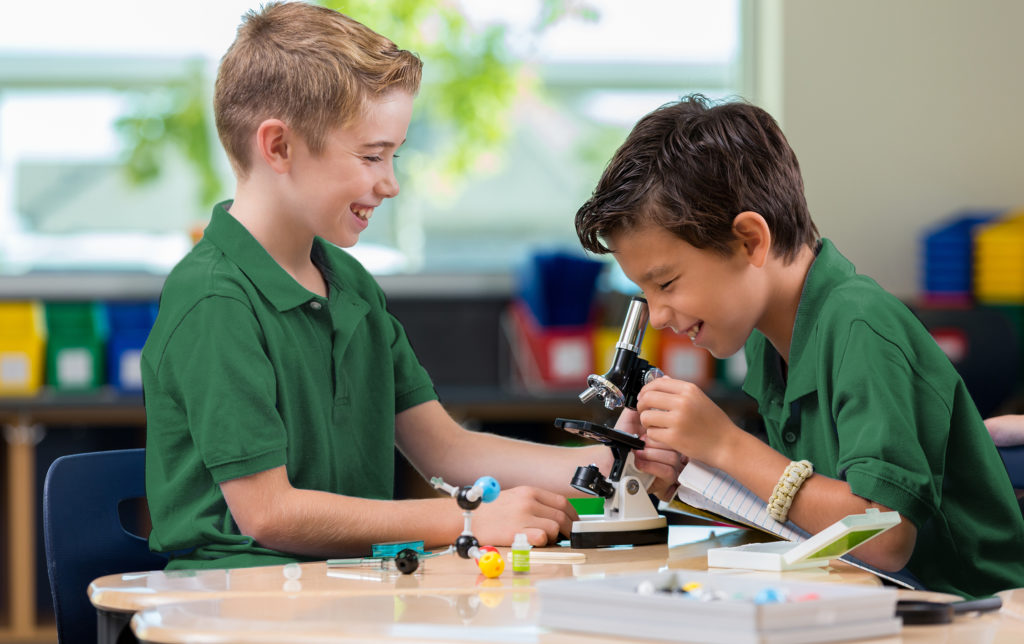 Elementary school boys work on science project